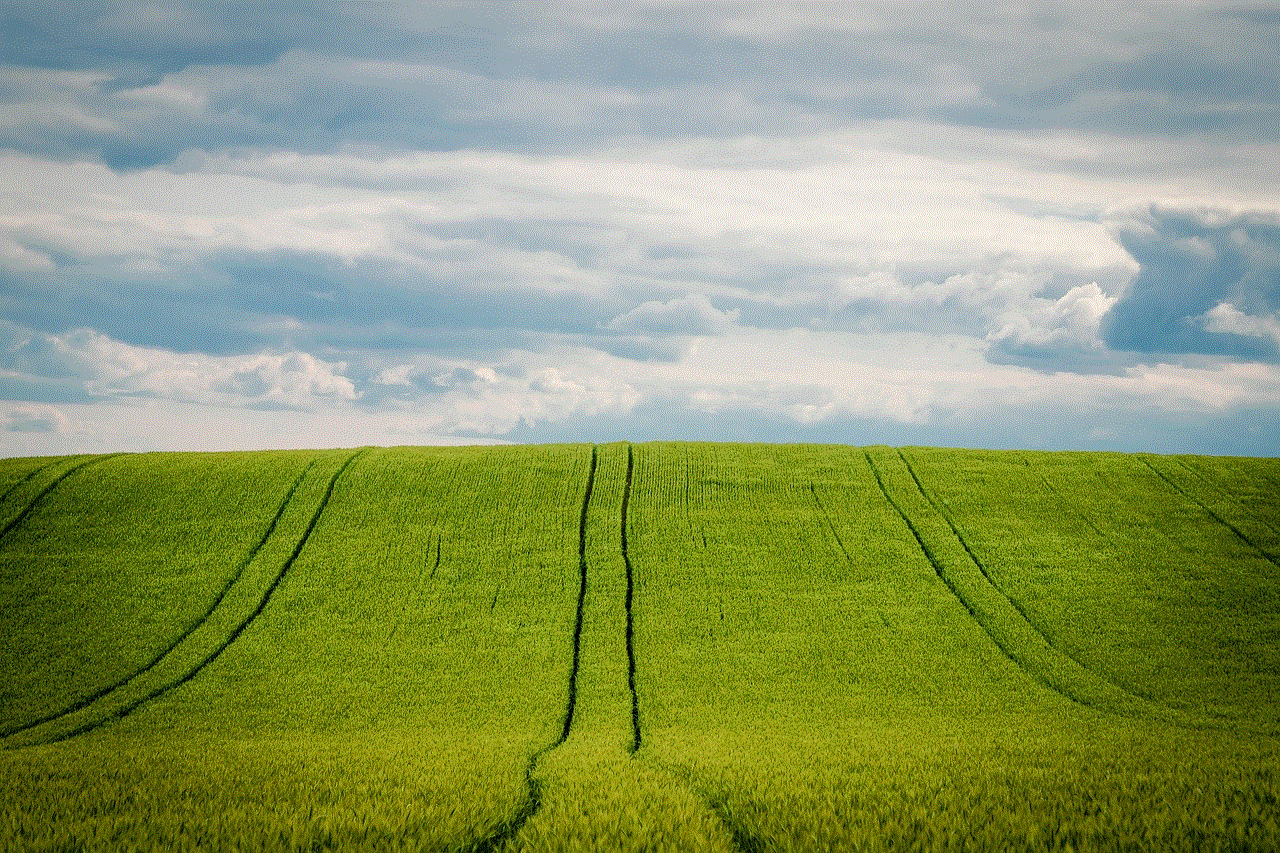 Barley Barley Field