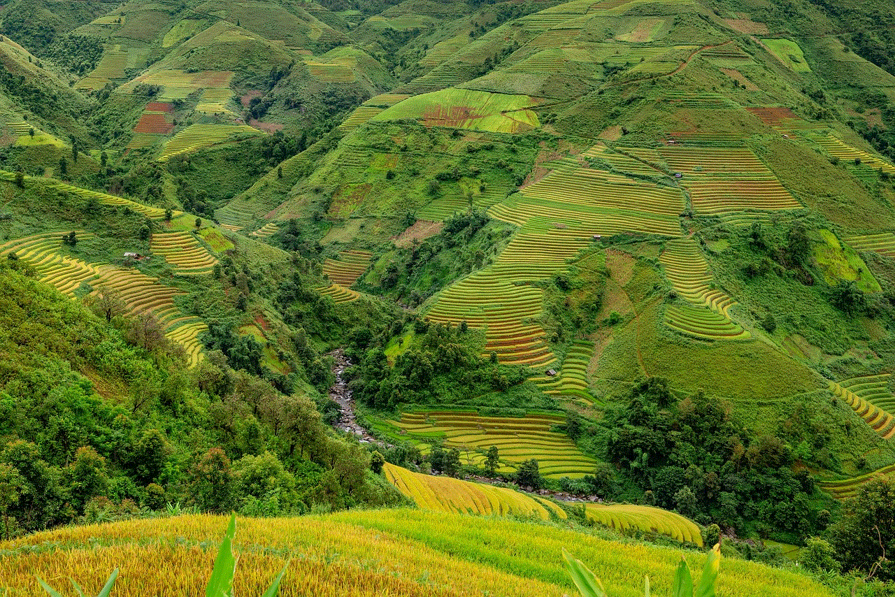 Terraces Rice Terraces