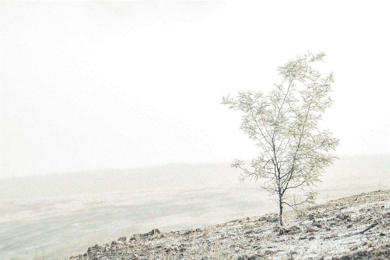 Wattle Tree Frost
