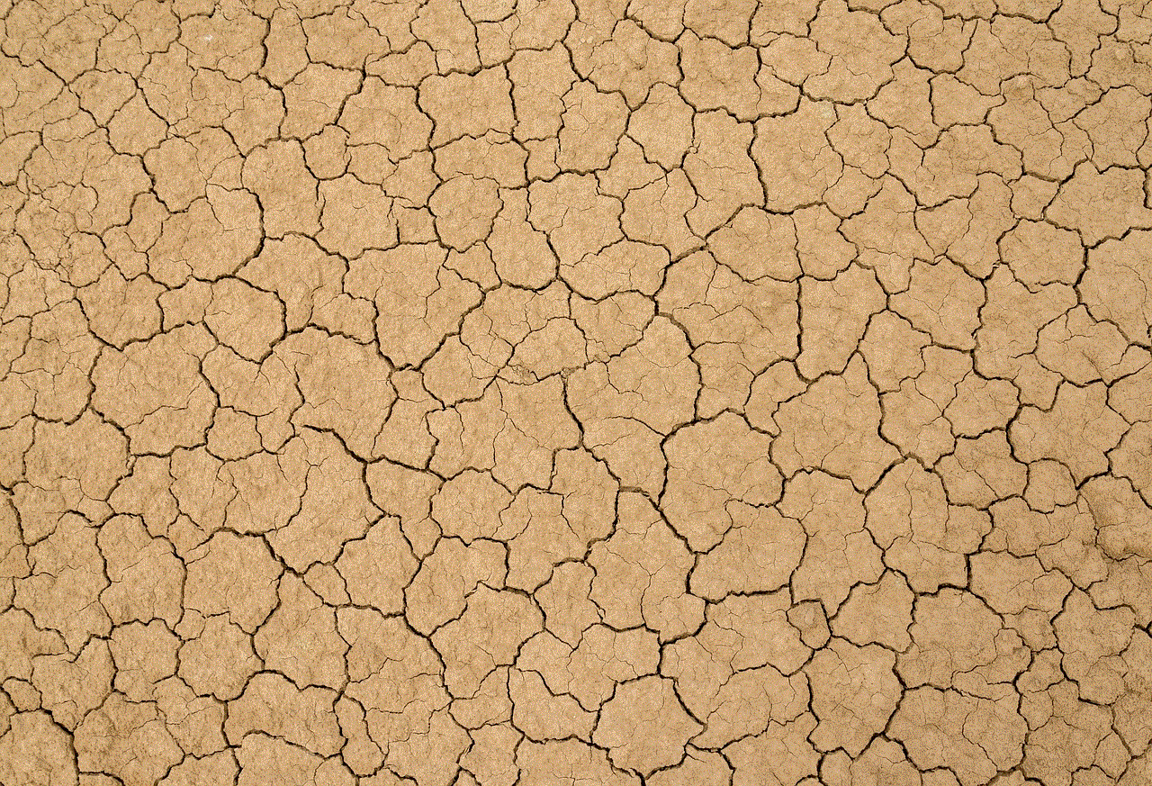 Soil Cracks Soil Cracks