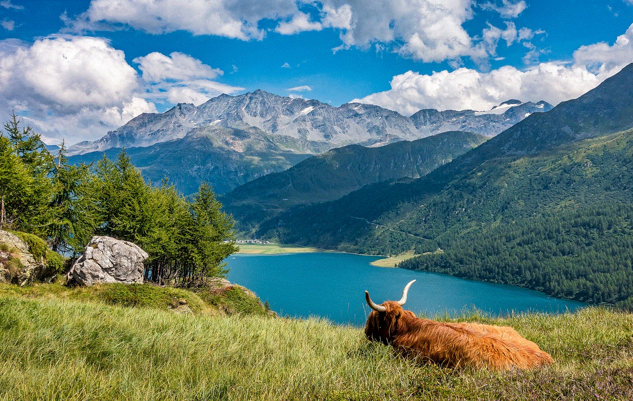 Lake Cow