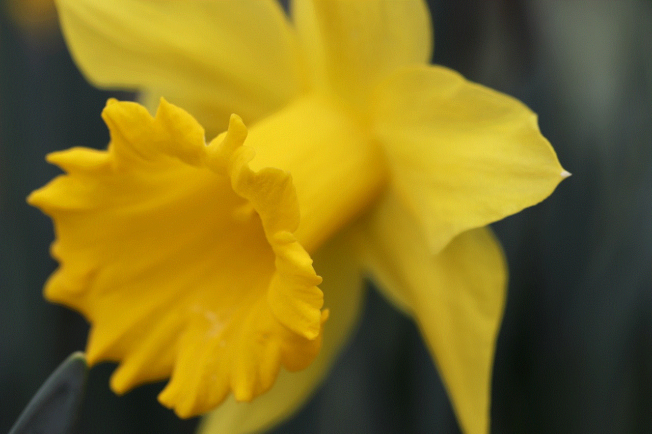 Daffodil Easter Bell