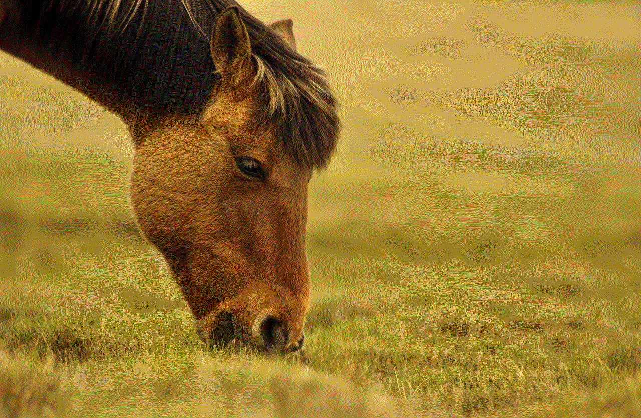 Horse Graze