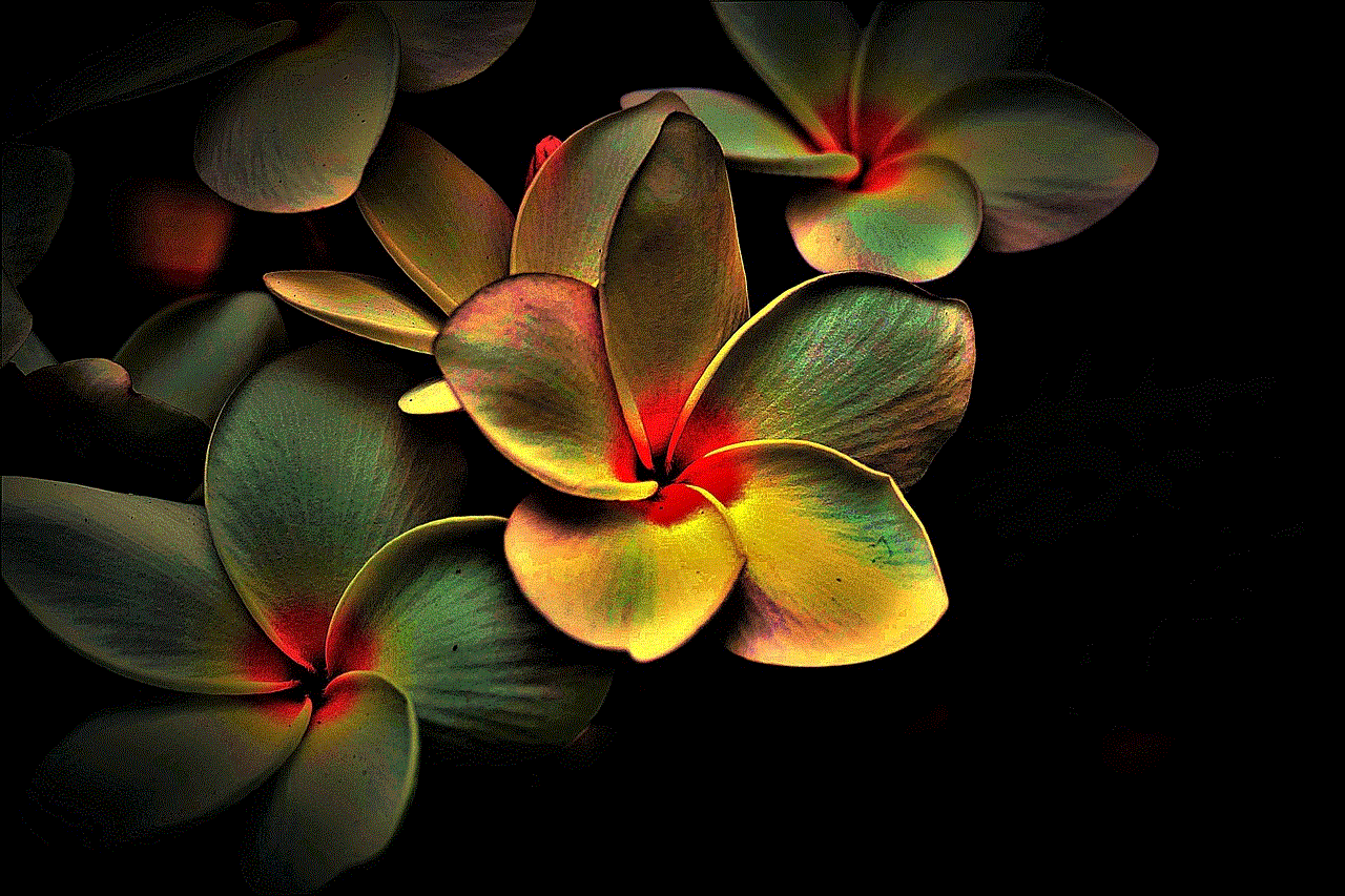 Blossoms Colored Blossoms Colored