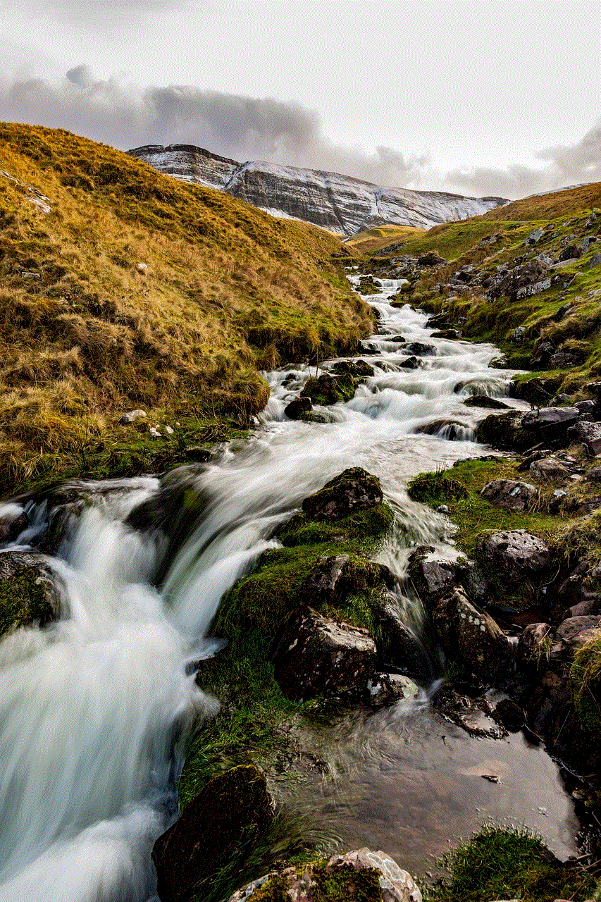 Waterfall Snow