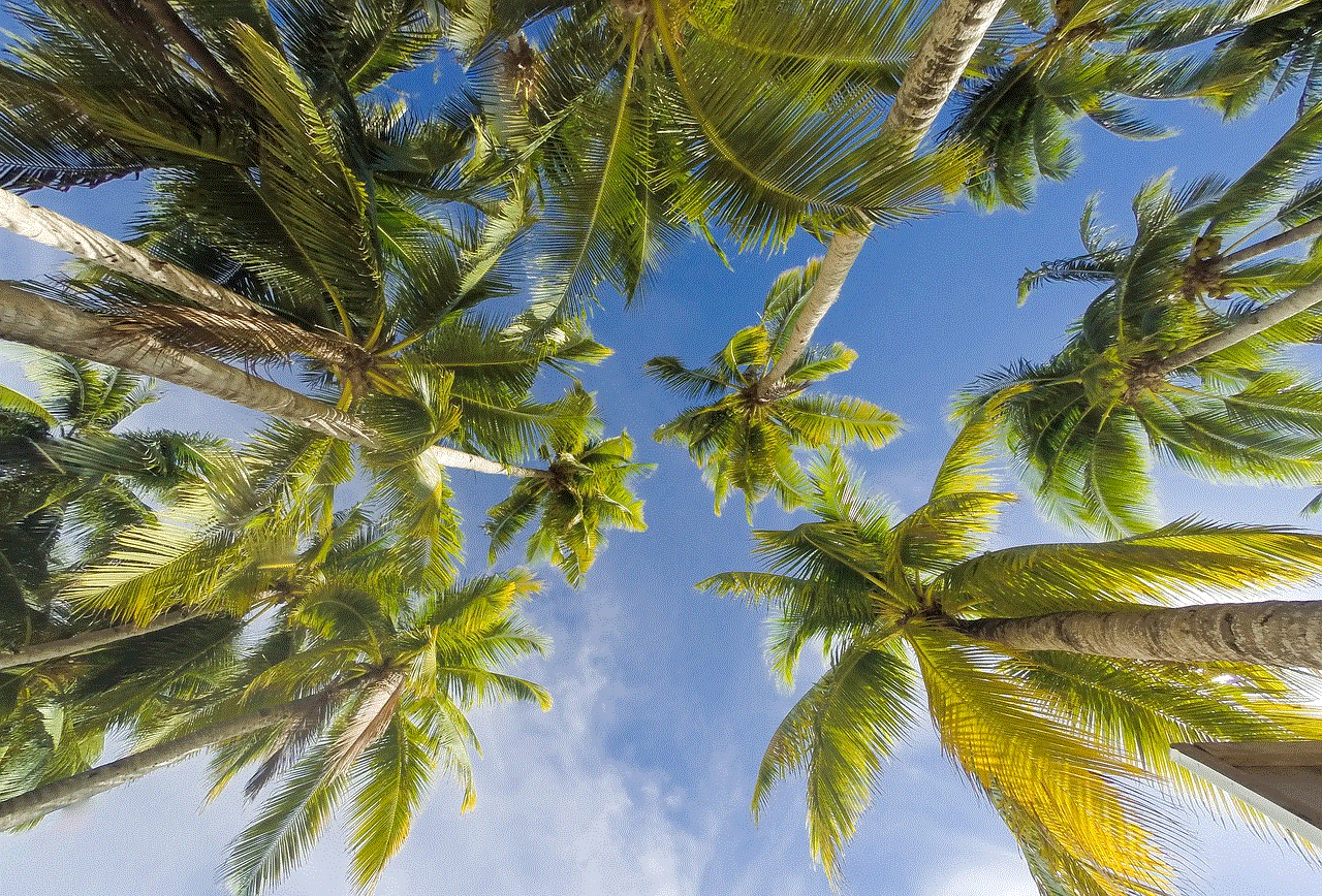 Trees Blue Sky