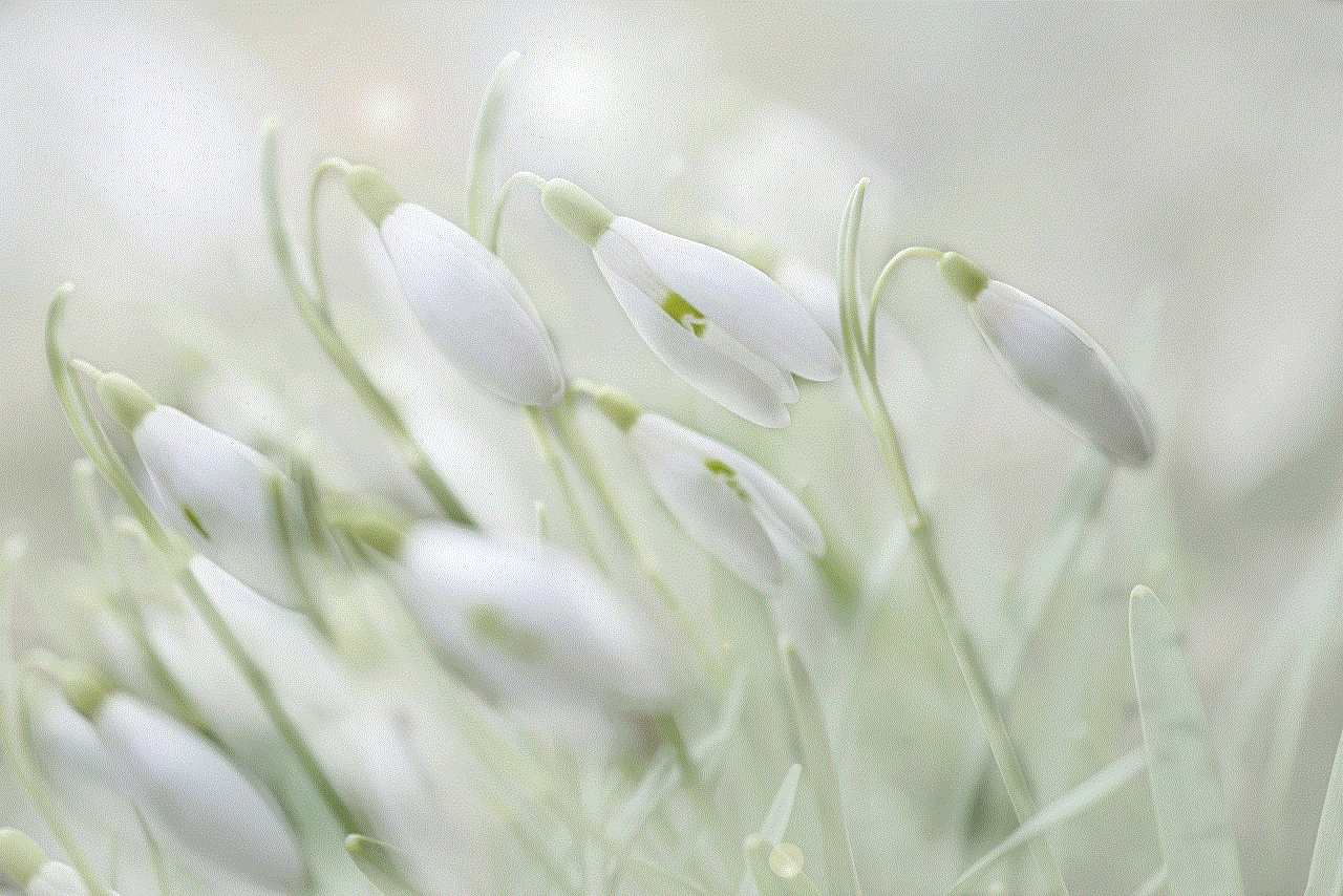 Flower Snowdrop