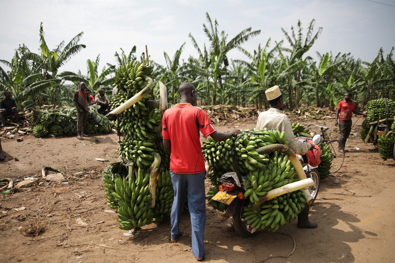 Uganda Transport