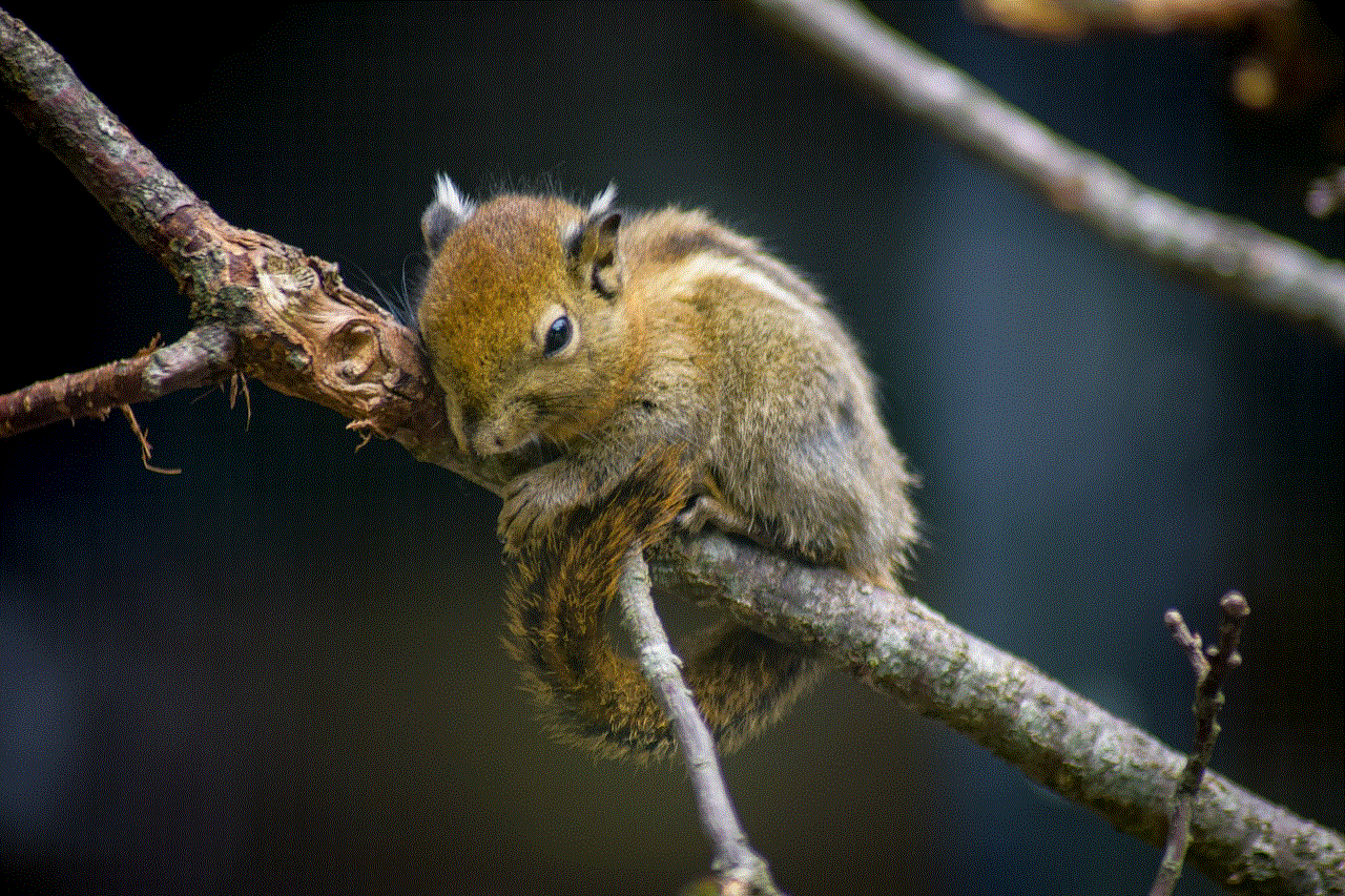 Chipmunk On Ast