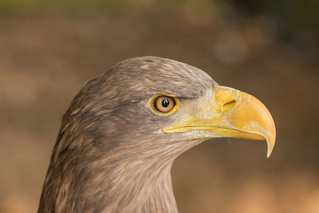 Eagle Portrait