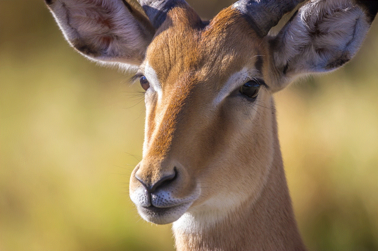 Safari Antelope