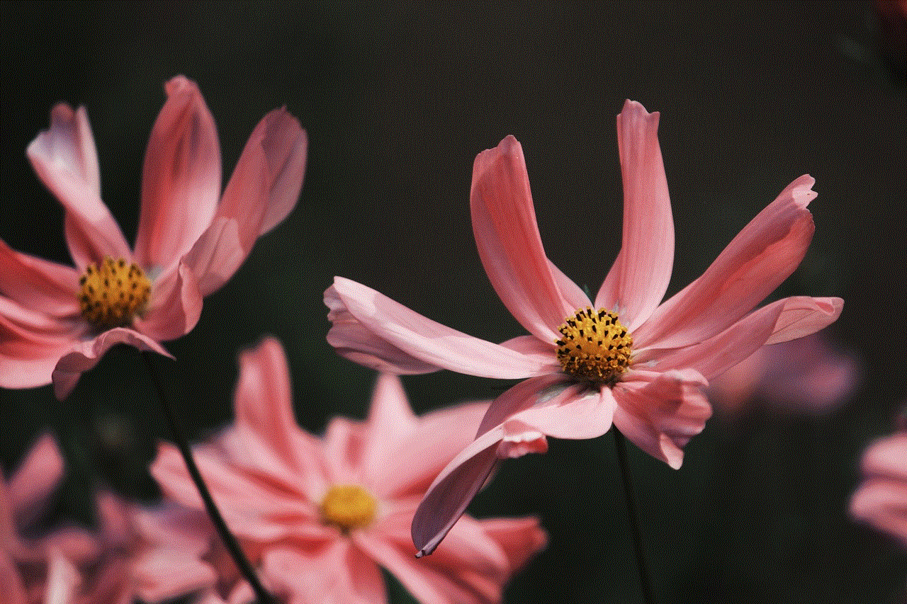 Flowers Close Up