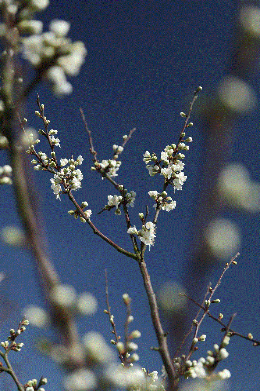 Spring Blossom