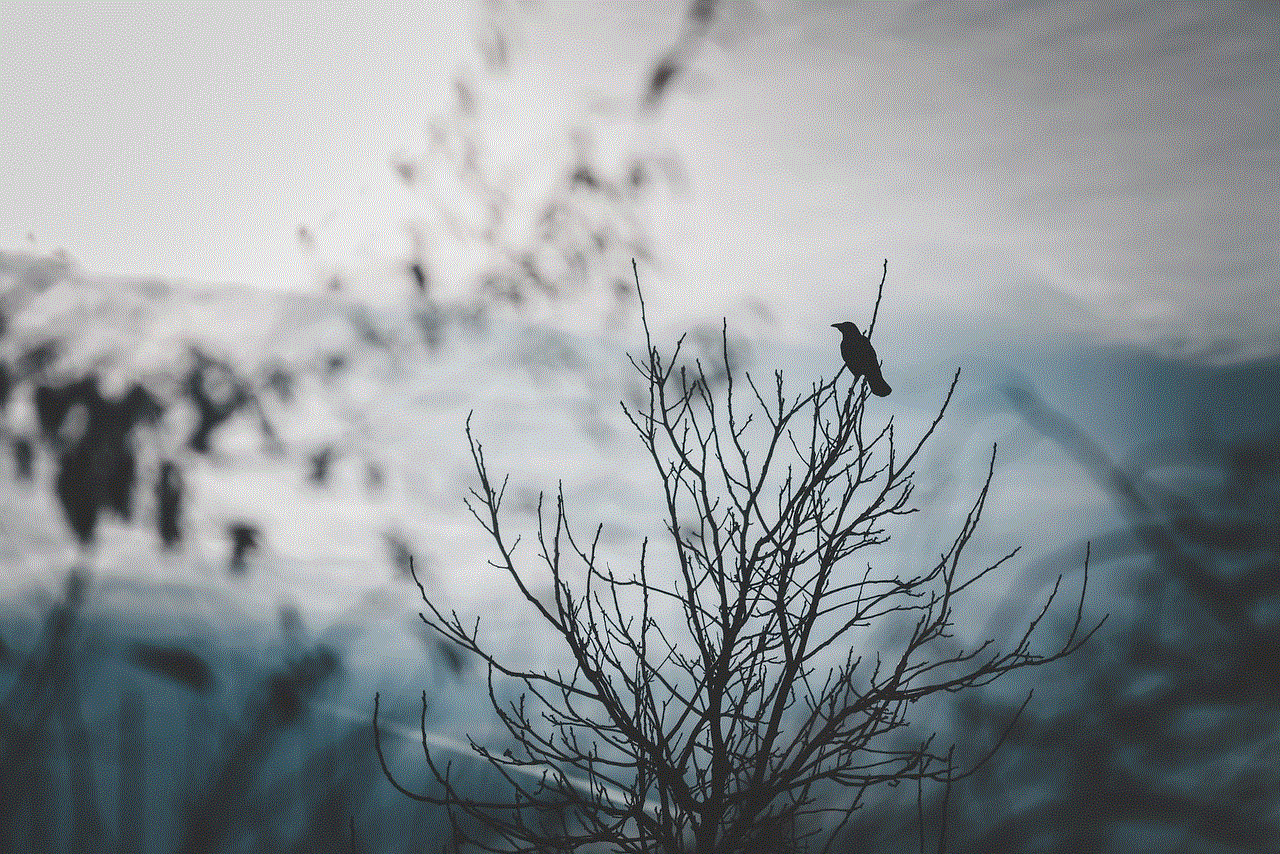 Raven Bird Raven Bird