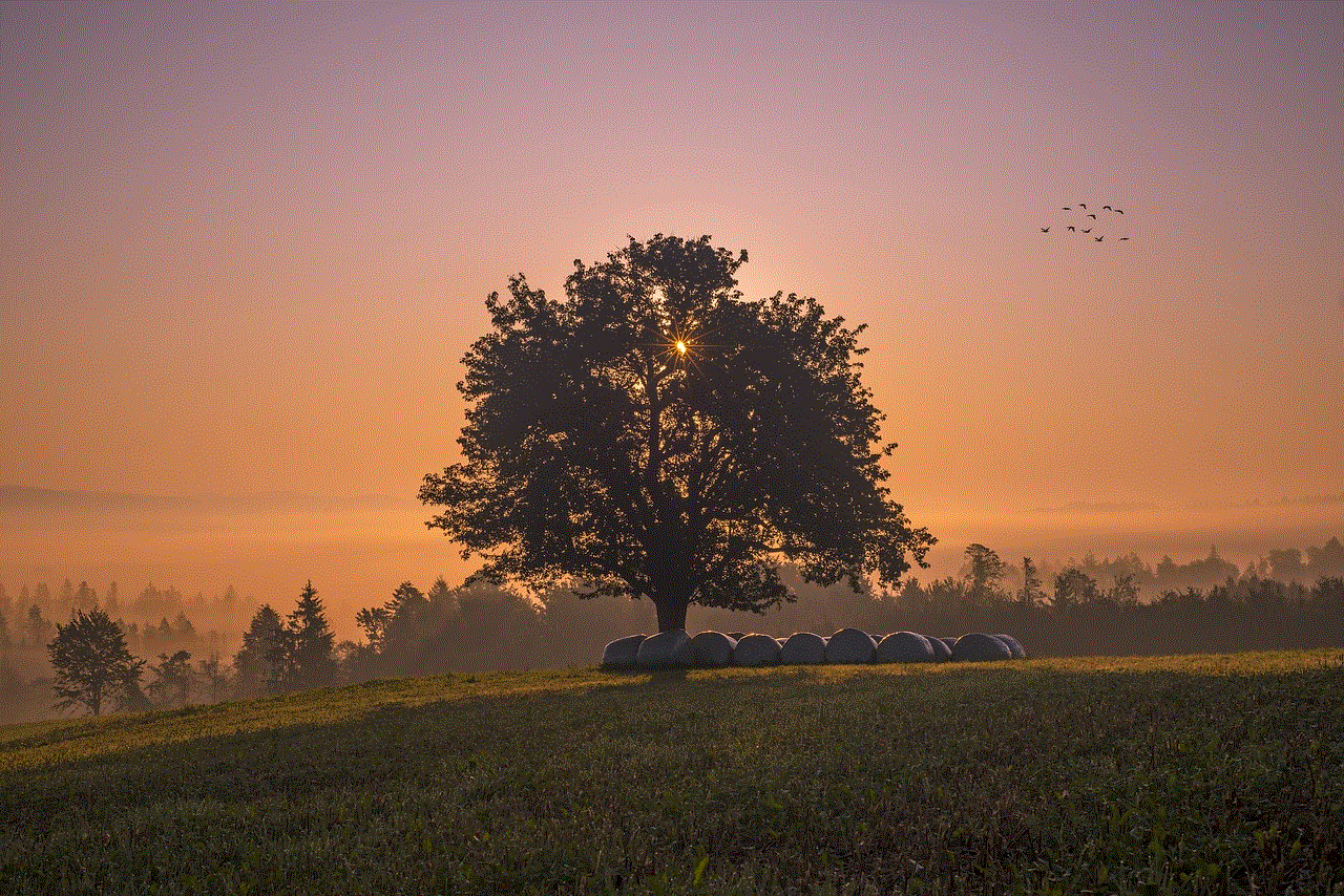 Tree Landscape