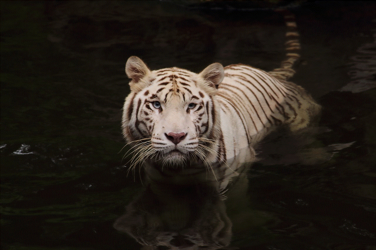 Tiger Nature