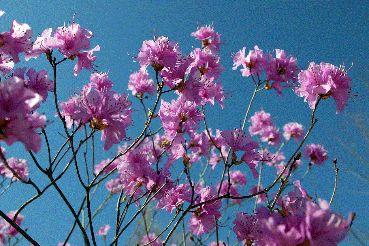 Azalea Spring