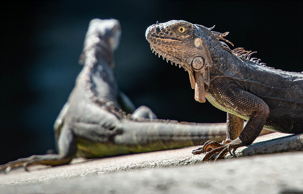 Iguanas Reptiles