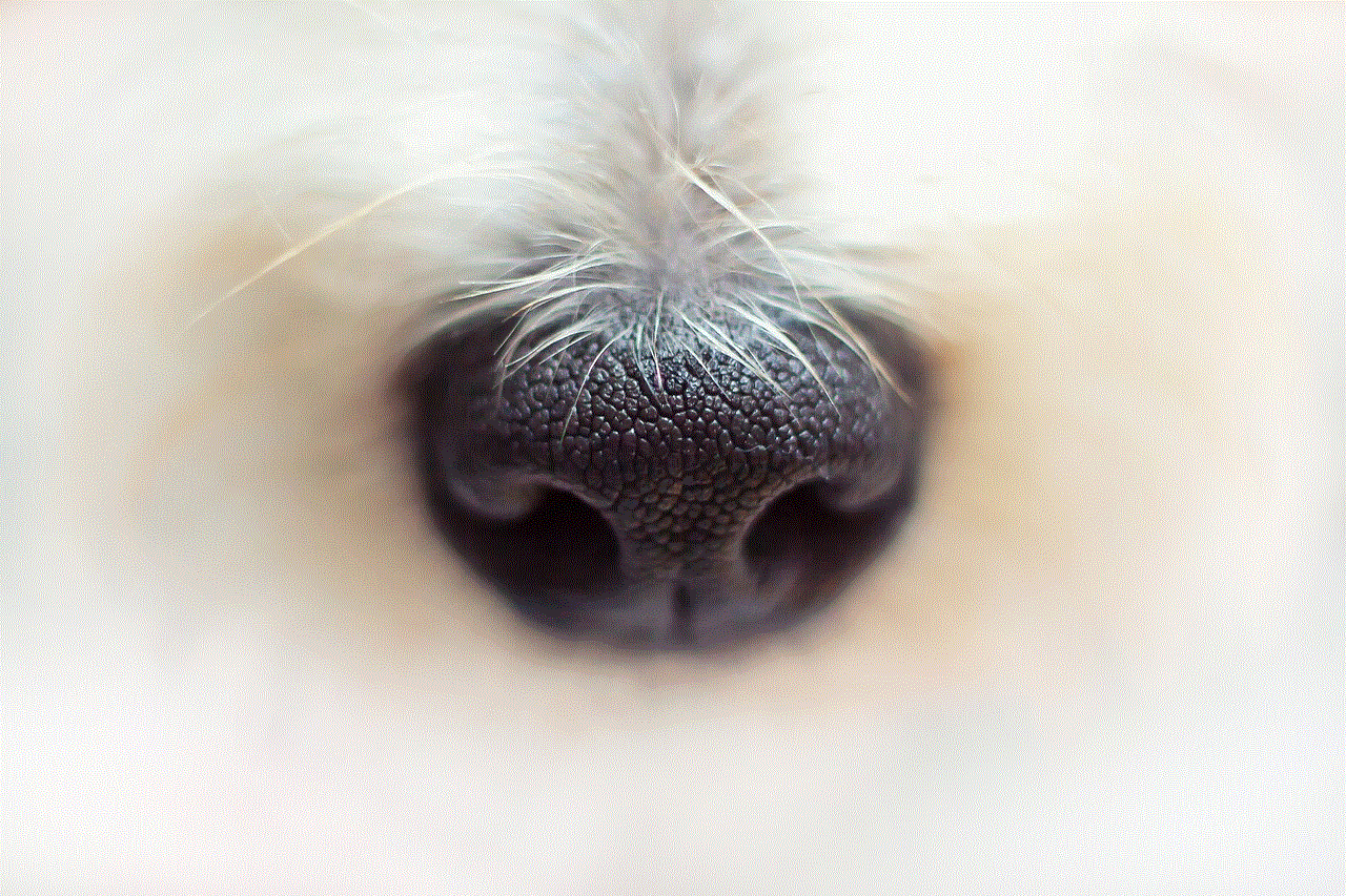 Nose Dog