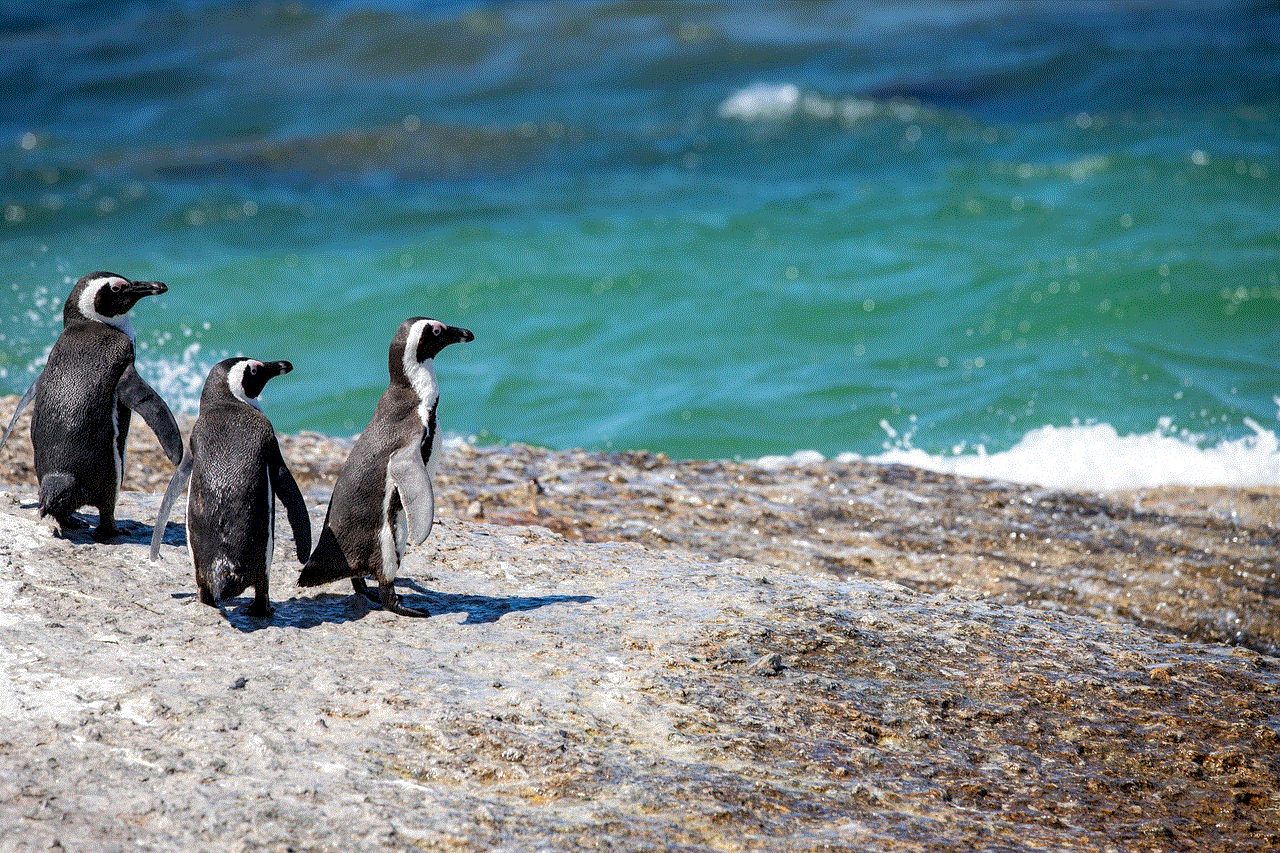Penguins Shore