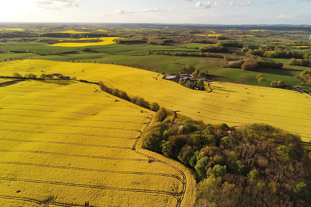 Oilseed Rape Fields