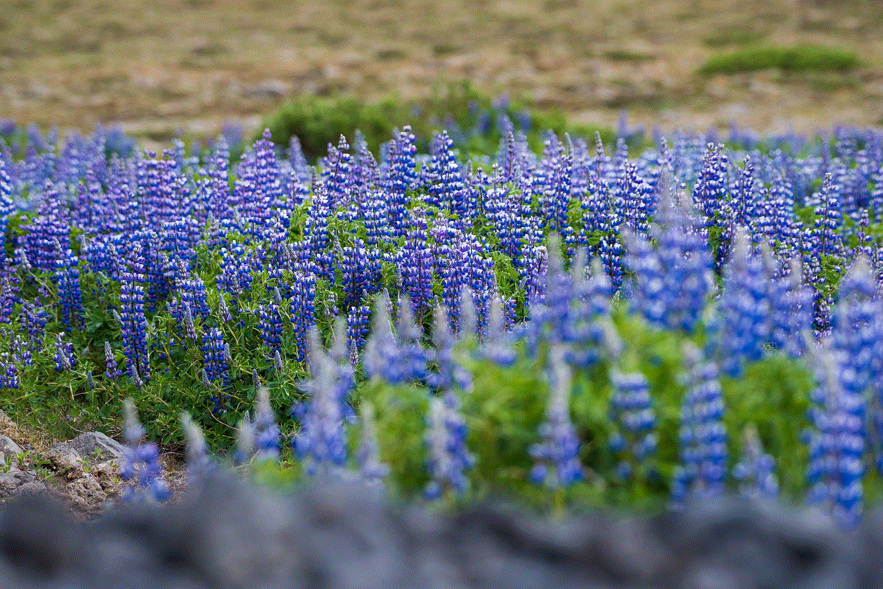 Iceland Landscape