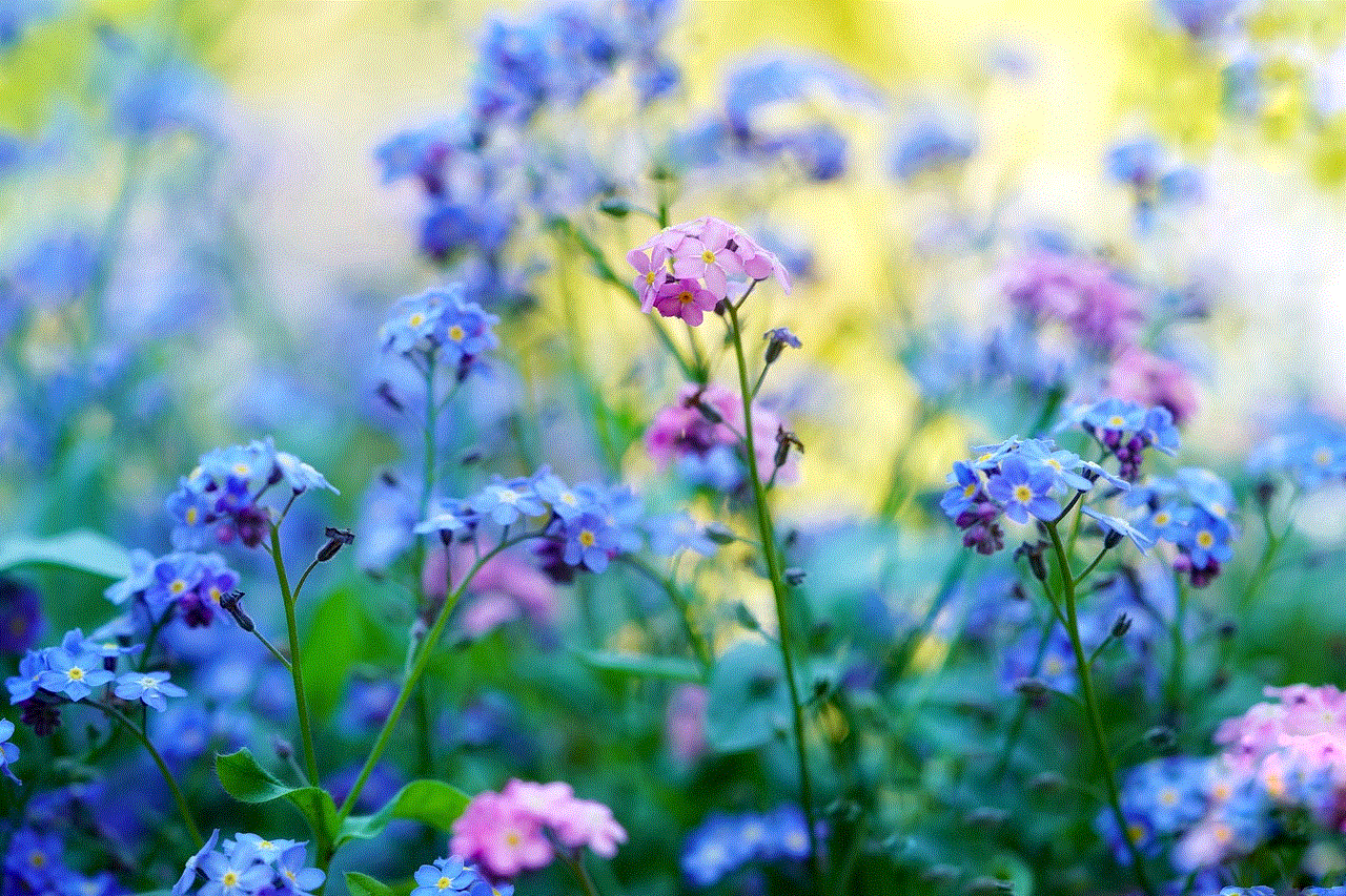 Forget Me Not Pointed Flower