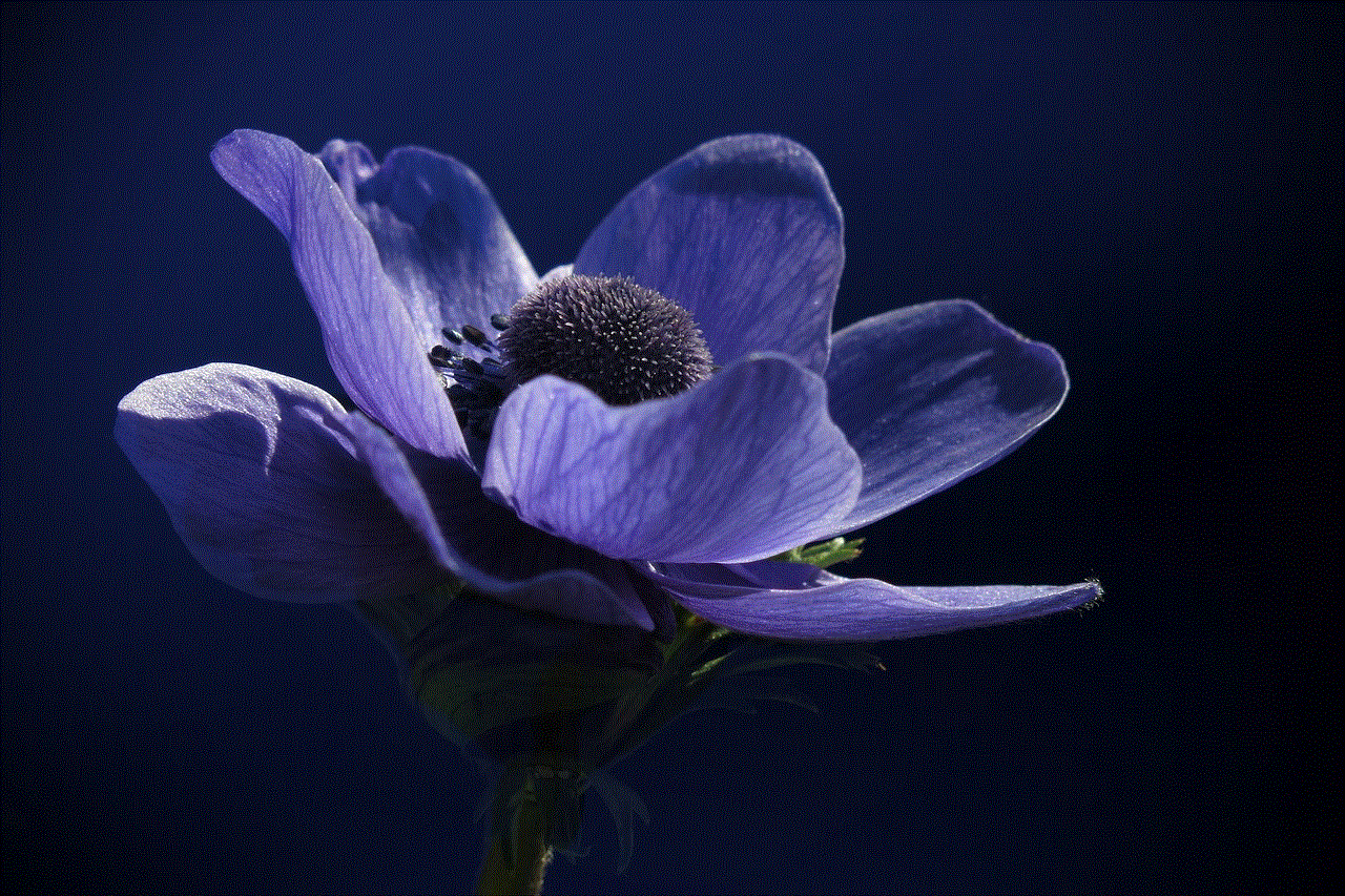 Anemone Blue