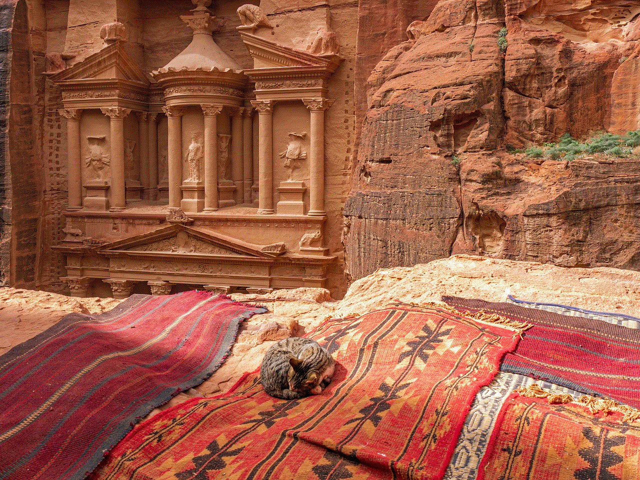 Petra Jordan