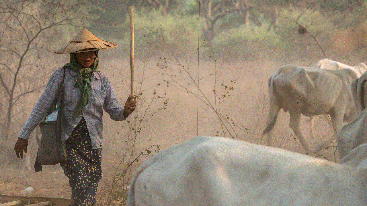 Carabao Farm