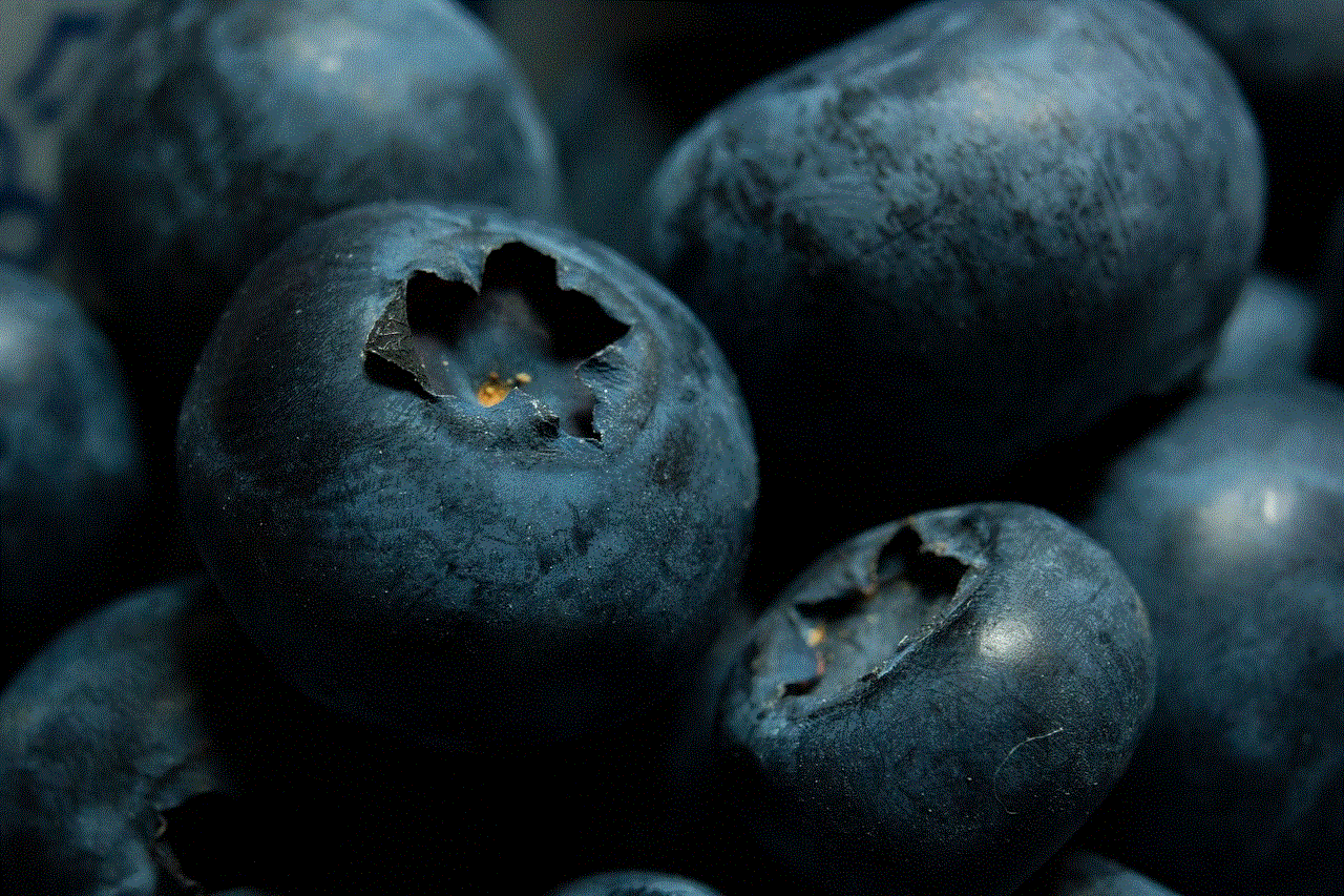 Blueberries Bilberry