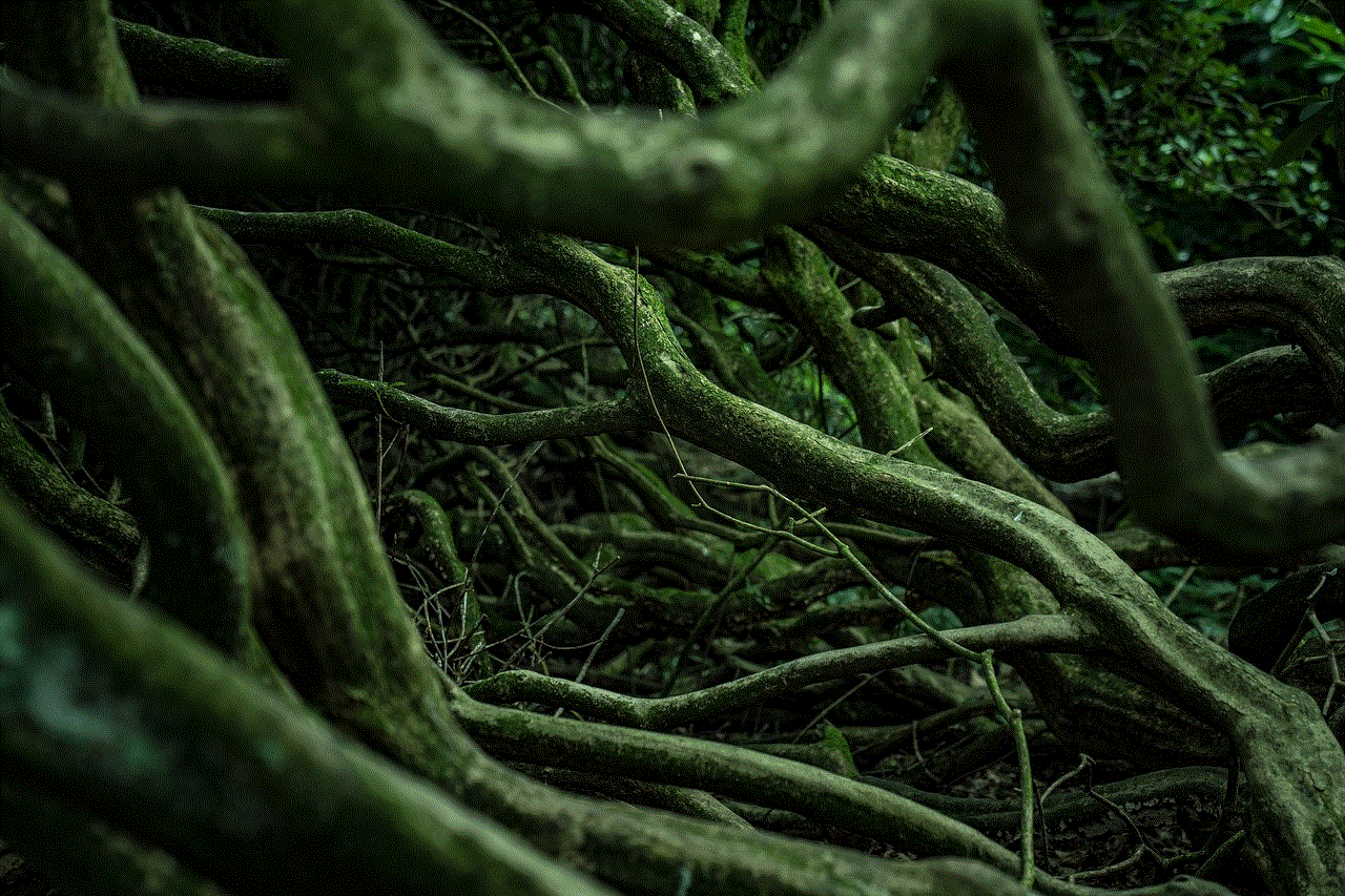 Roots Woods