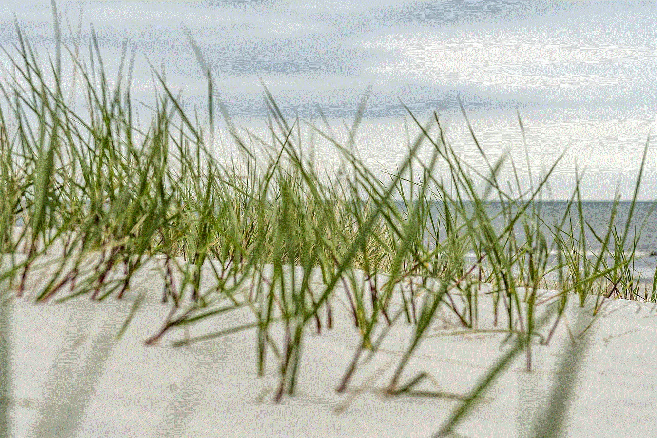 Beach Grass