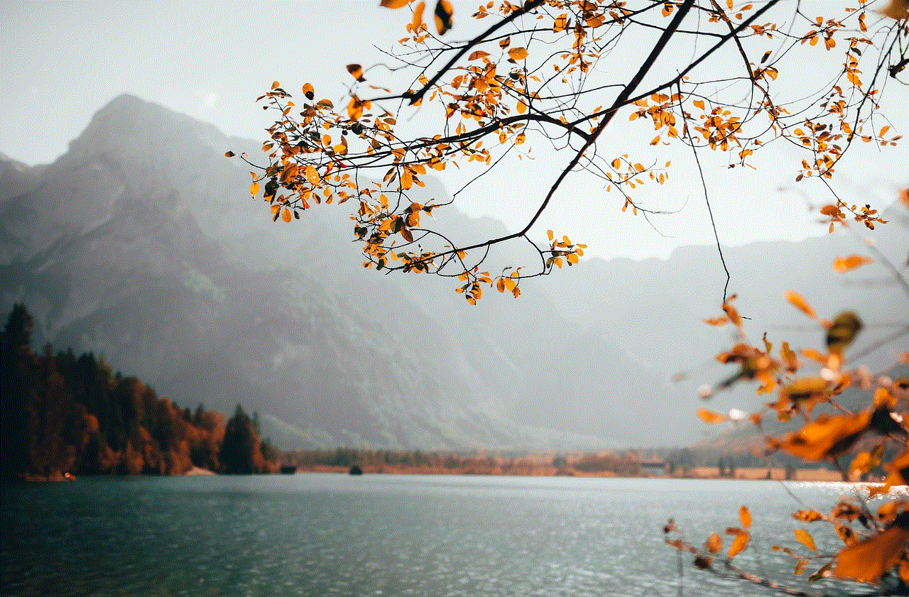 Mountains Leaves