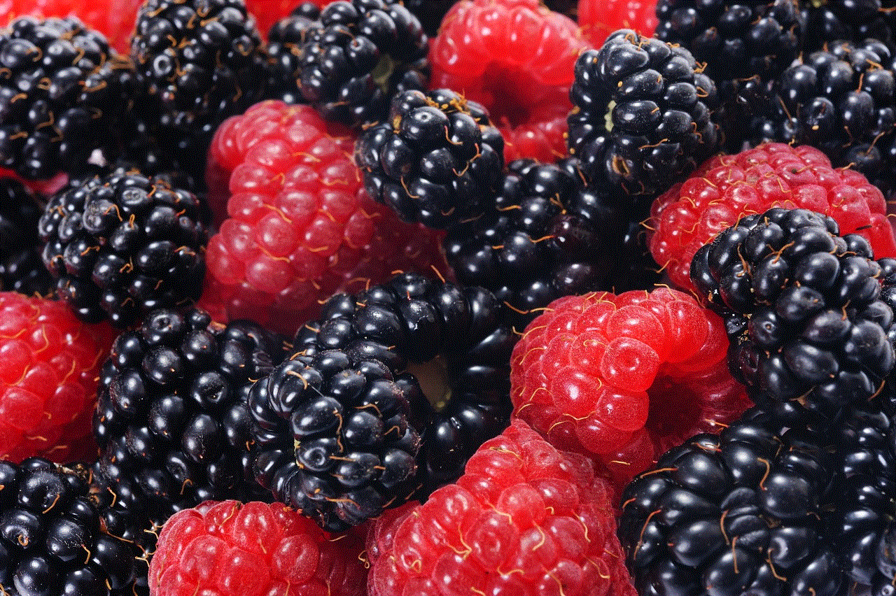 Raspberries And Blackberries