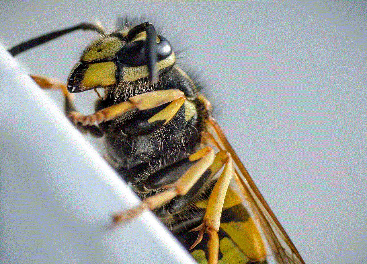 Wasp Macro