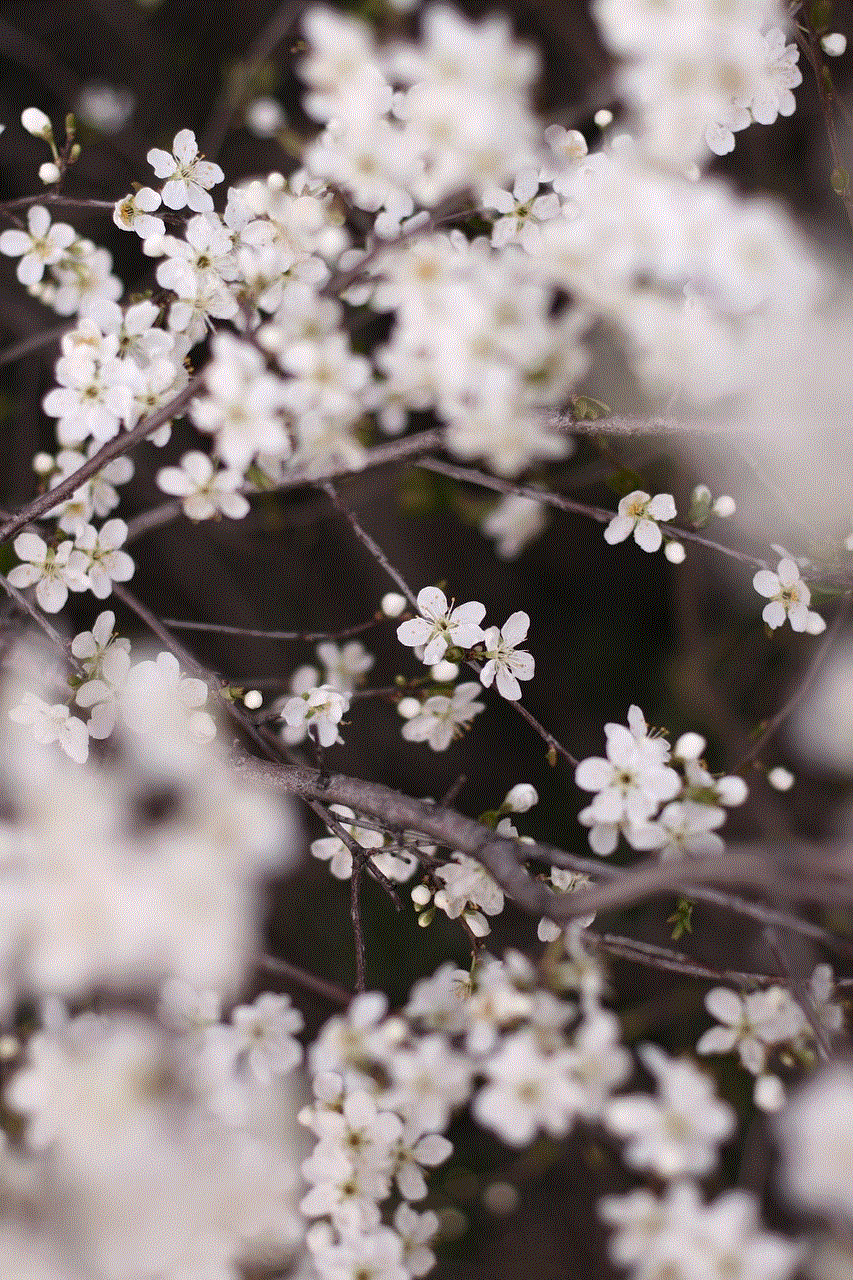 Flowers Branch