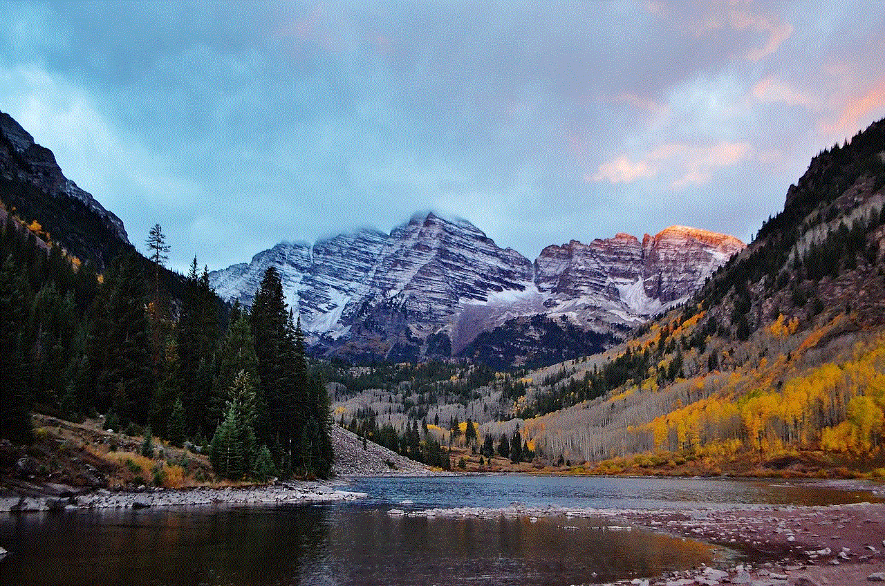 Colorado Aspen