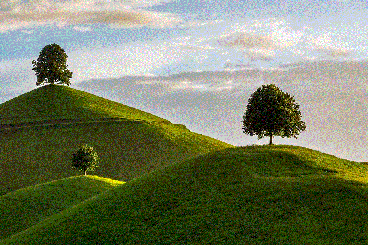 Hill Tree