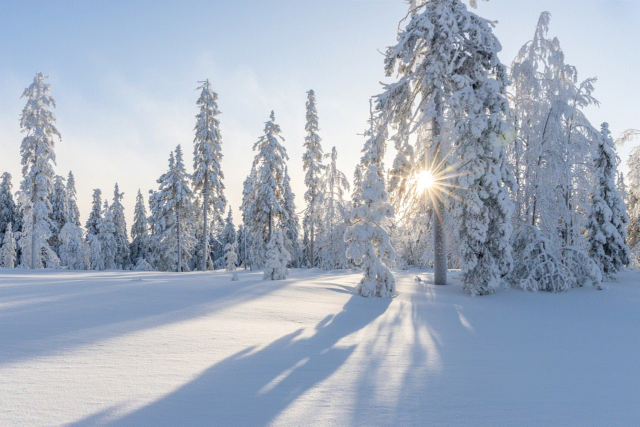 Trees Winter