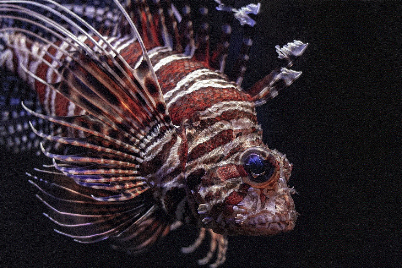 Lionfish Fish