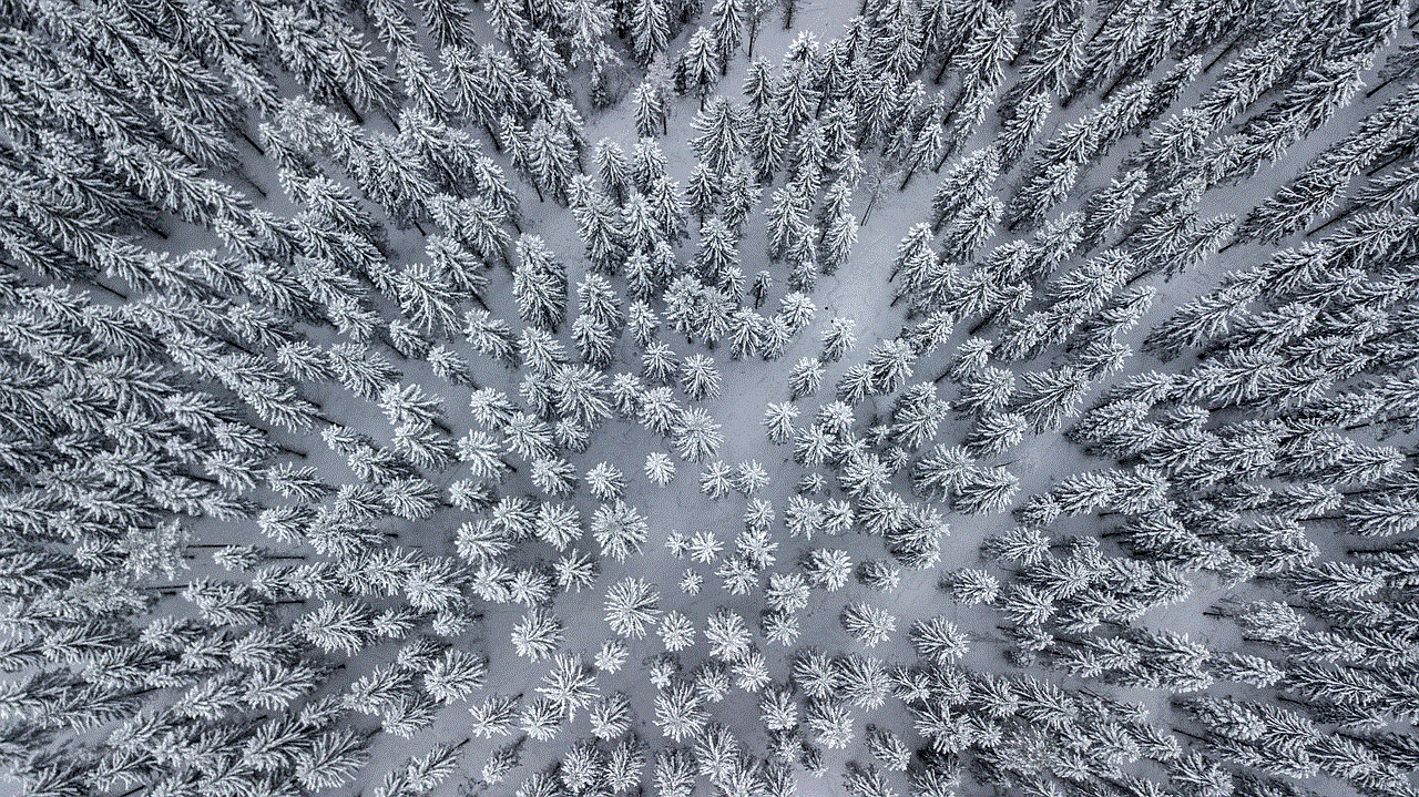 Forrest Snow Forrest Snow