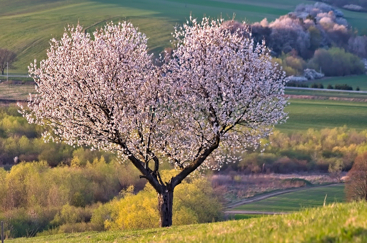 A Tree Nature