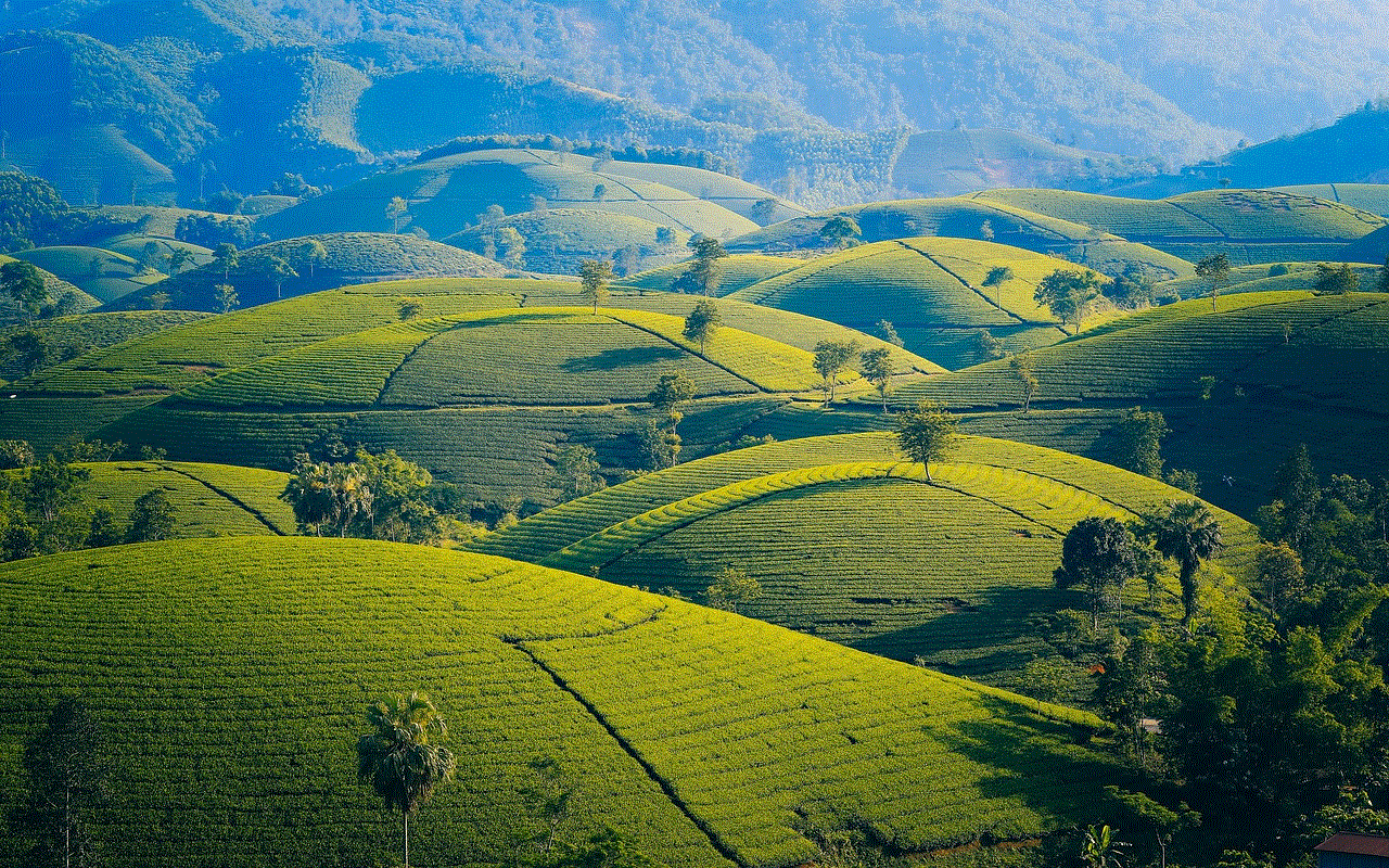 Mountains Tea