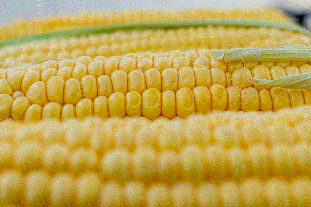 Corn Corn On The Cob
