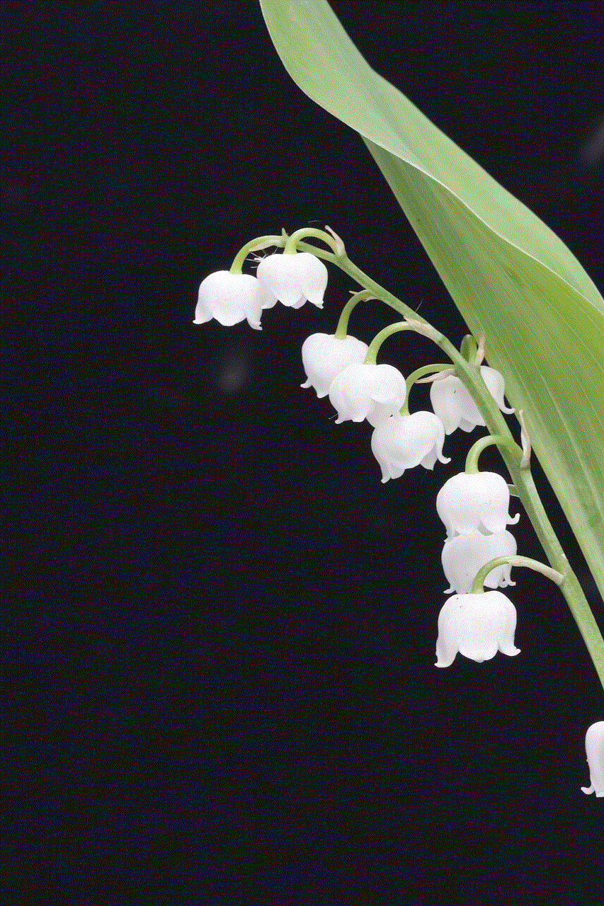 Lily Of The Valley Flower