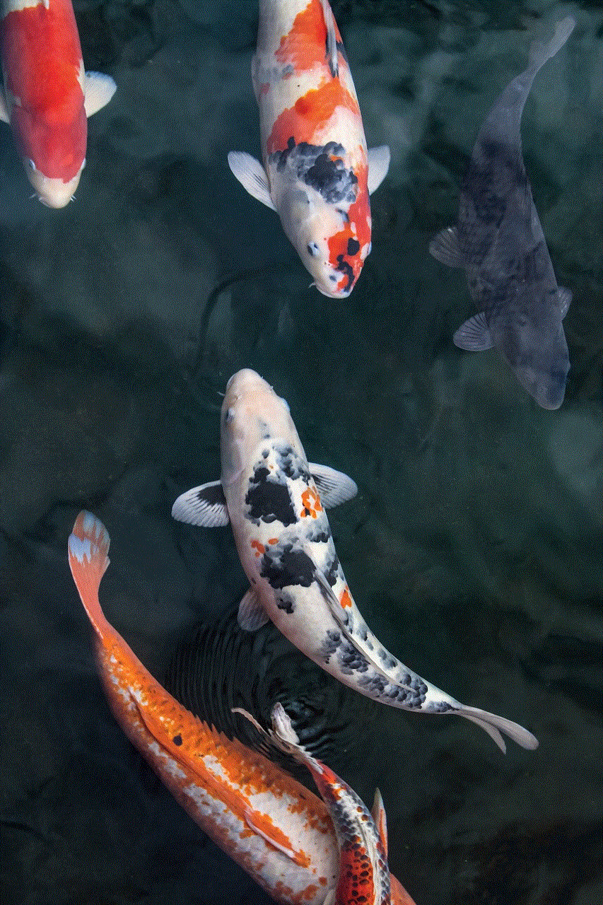 Fish Koi