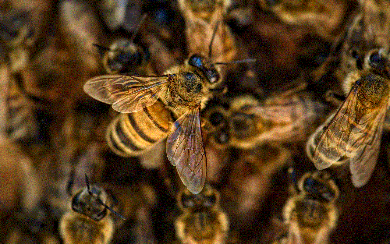 Bees Wings