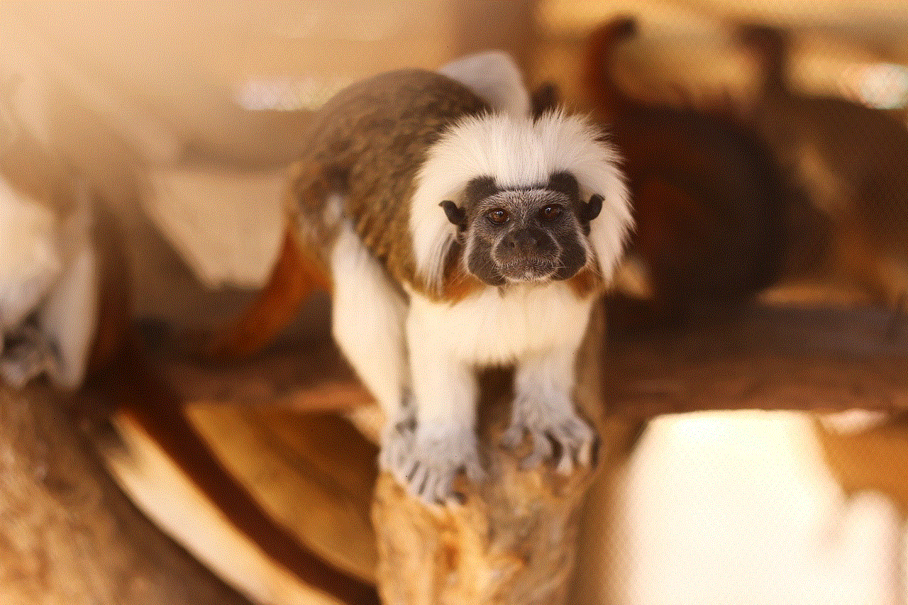Monkey Mico