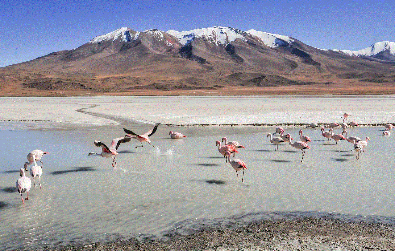 Flamingos Landscape